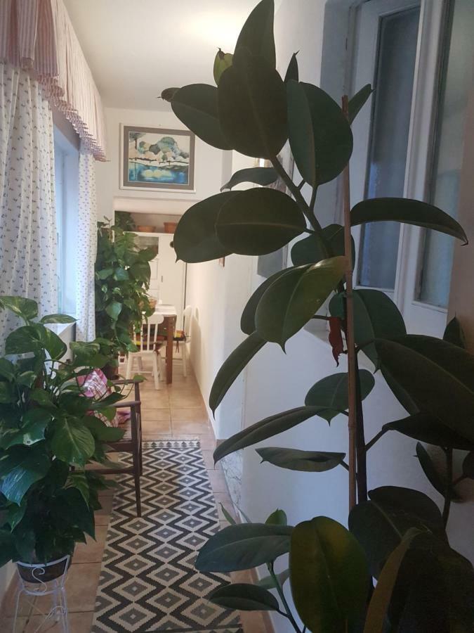 Marco'S House Villa Dolianova Ngoại thất bức ảnh